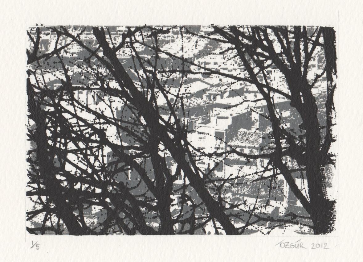 Roofs of Marseille Behind Trees