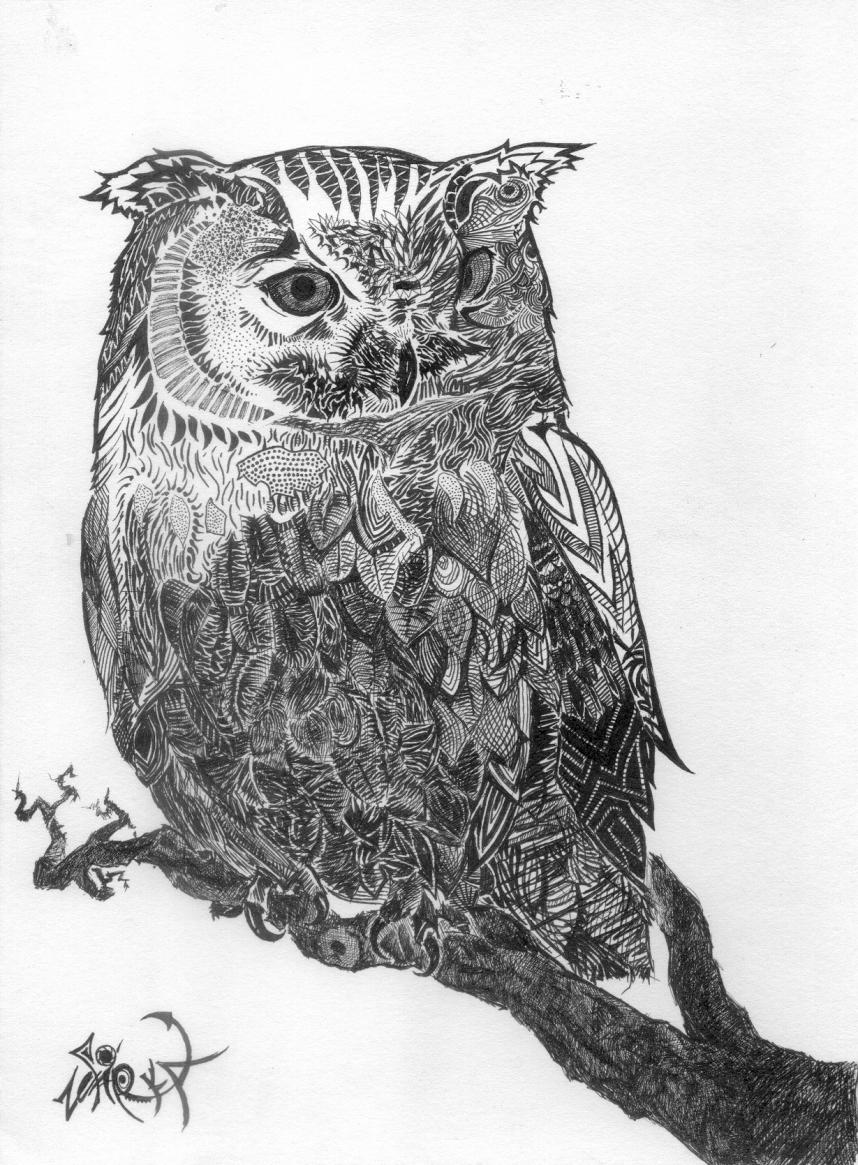 Owl